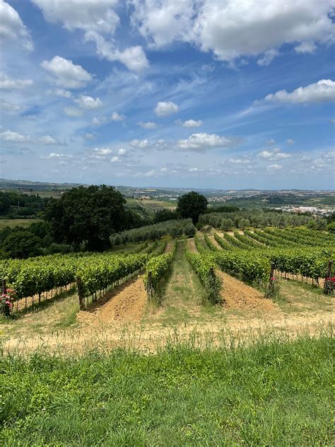 How to choose cozy family games truly engaging for both kids AND adults?