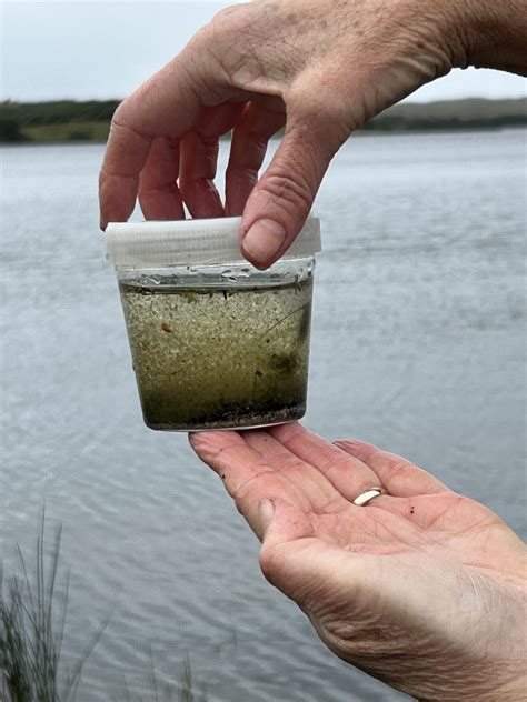 Practical steps to unearth genuinely overlooked indie hidden gems?