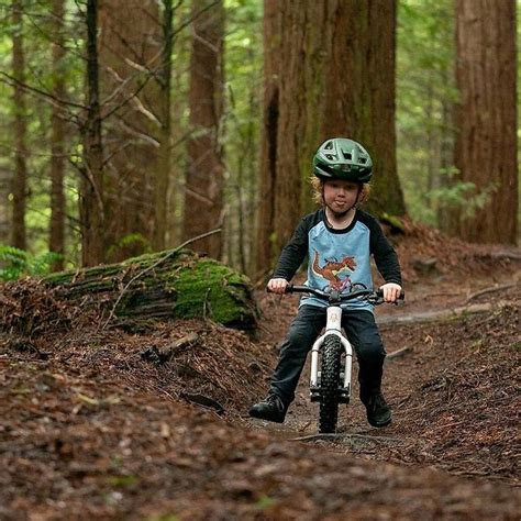 Shotgun Early Rider 14