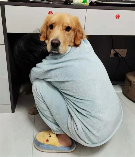 15 Brain-Confusing Photos That Need to Be Analyzed / Bright Side