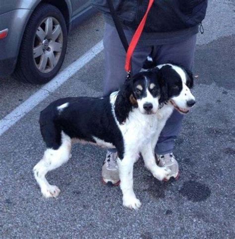 45 Highly Misleading Photos That Will Make You Look Twice.