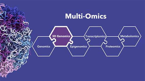 How 3D Genomics Can Strengthen Your Multi-Omics Approach to Scientific ...