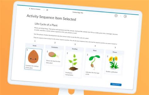 Interactive Elements – Instructional Design That Works