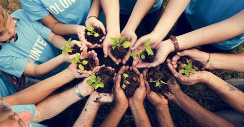 Why Community Service Is So Important for College Admissions – Niche Blog