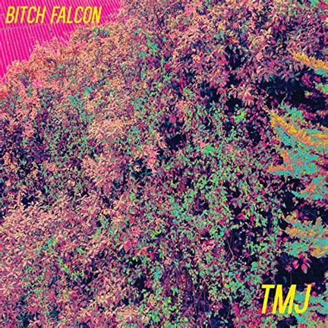 Play TMJ by Bitch Falcon on Amazon Music