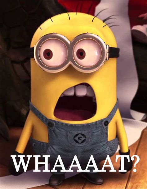 What’s the best way to expand Switch storage & manage downloaded games efficiently?