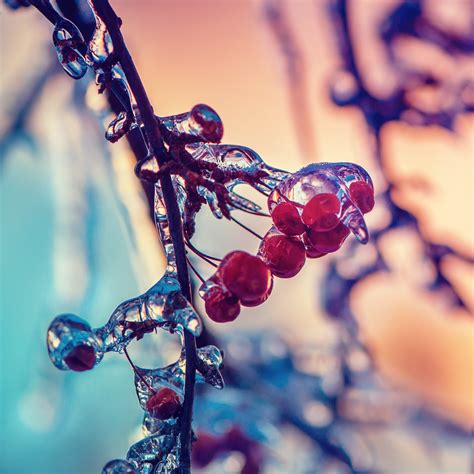 Unique Wallpaper