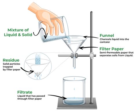 Filtration: Definition, Process, Diagram and Examples