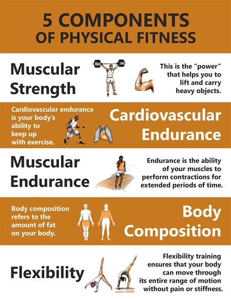 [Solved] Make an Infographic that shows 5 Components of Physical ...