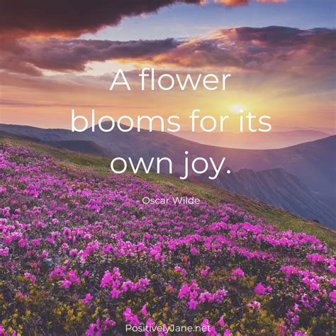 Joy Quotes | 10 Inspiration Quotes About Joy - Positively Jane
