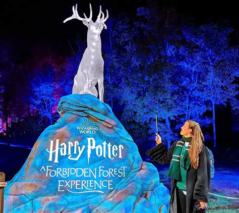 REVIEW: HARRY POTTER FORBIDDEN FOREST EXPERIENCE, Leesburg, Virginia ...