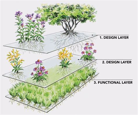 Layering Plants