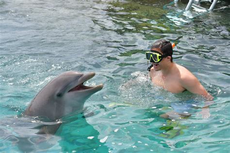 Essential Curacao Vacation Guide for the Best Holiday - Two Sisters Abroad