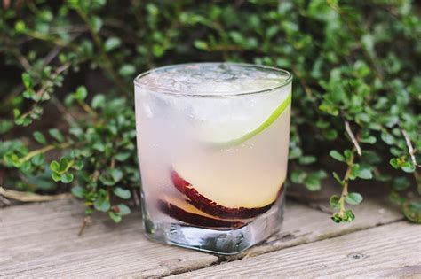 Plum Sage Fizz - The Merrythought