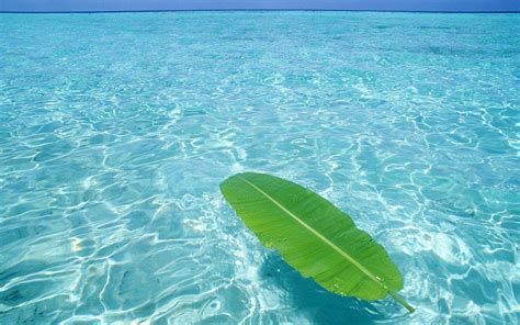 Clear Ocean Wallpapers - Top Free Clear Ocean Backgrounds - WallpaperAccess