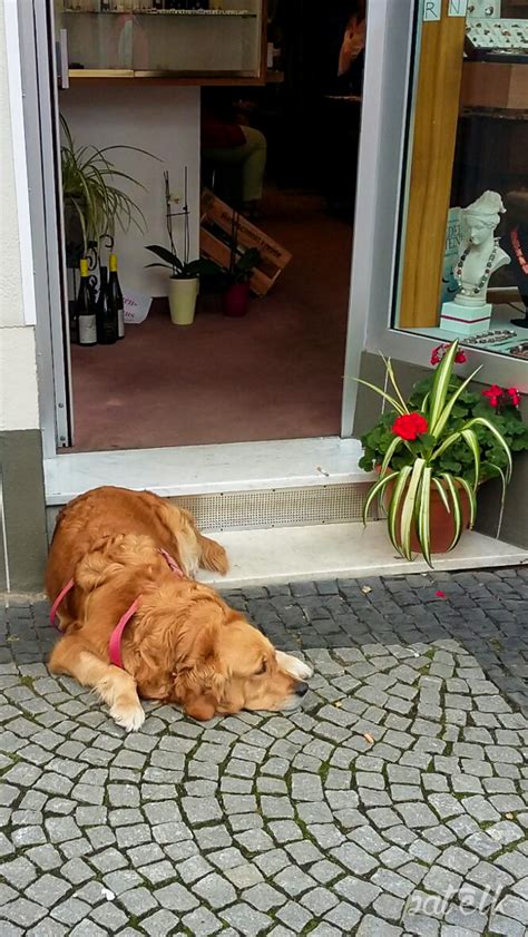 Leave a Reply Cancel reply