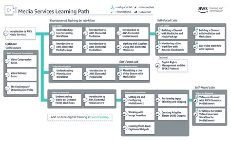 Creating Multiple Paths For Learning