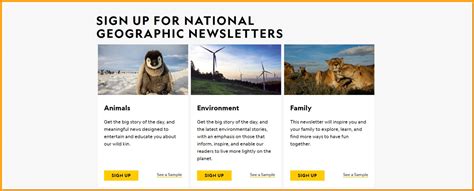 14 Inspiring Newsletter Sign-Up Examples From Top Brands