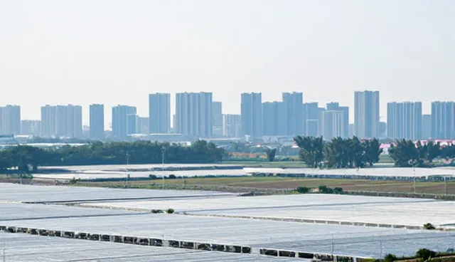 建筑装饰企业名录维护方法：5个检查要点确保数据准确